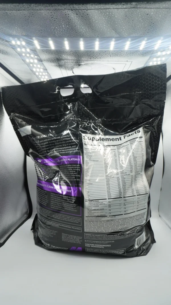 DSC00822.webp MASS TECH 20LB